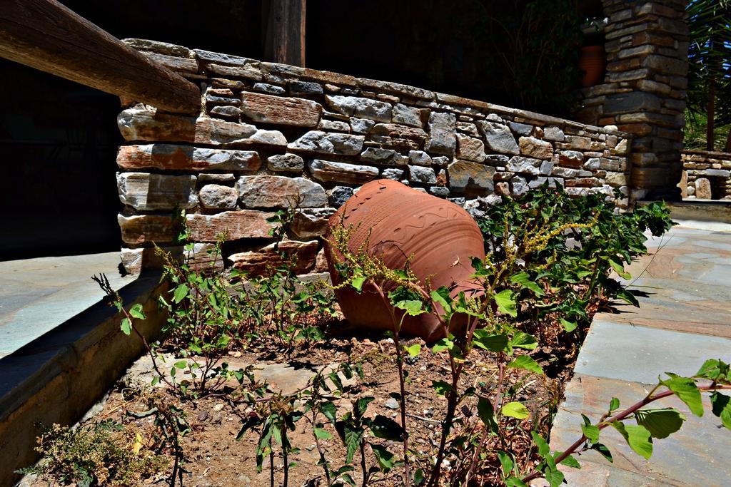 Stelios Zalonis Apartments Tinos Exterior photo
